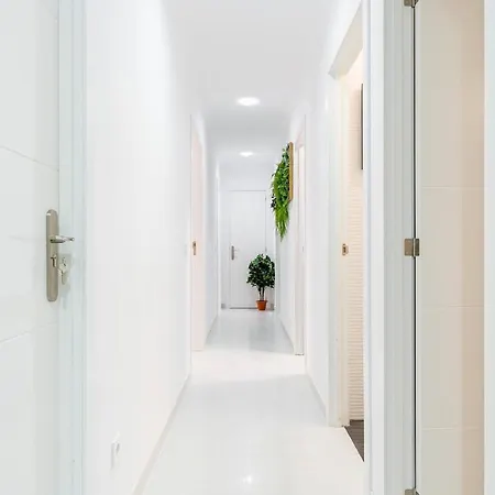 Panda House Апартаменты Торевьиа