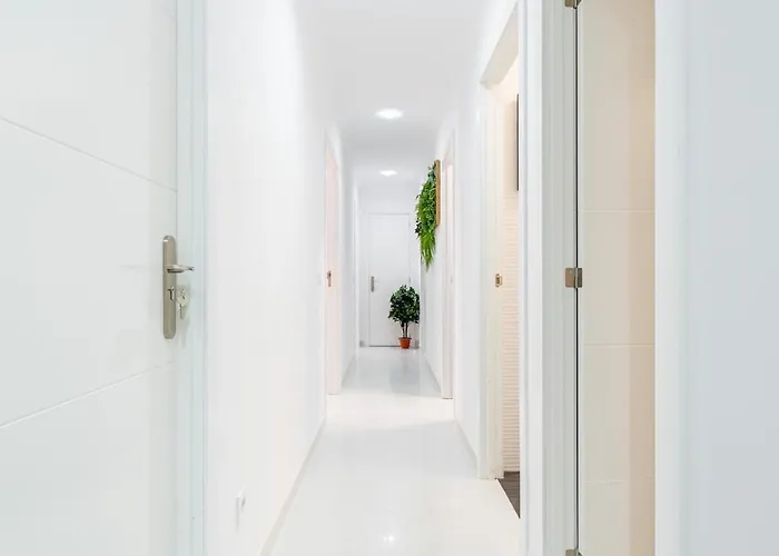 Panda House Apartment Torrevieja